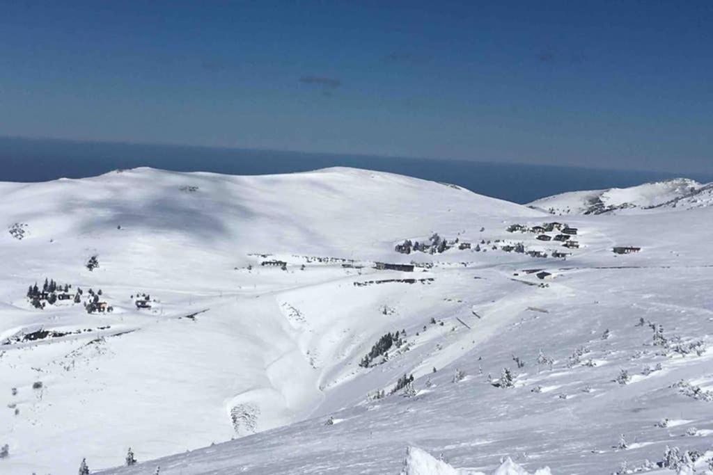 Chalet Ascou-Pailheres Dış mekan fotoğraf