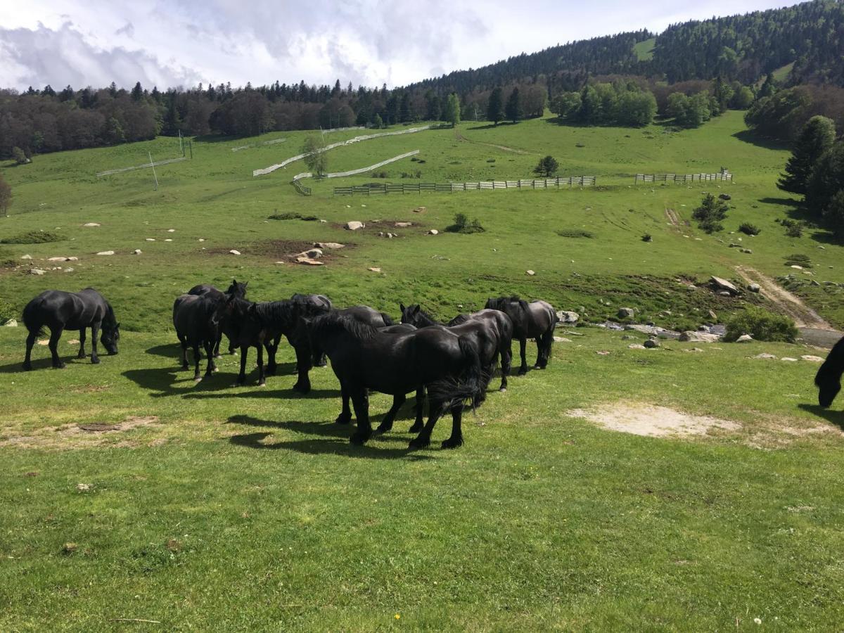 Chalet Ascou-Pailheres Dış mekan fotoğraf